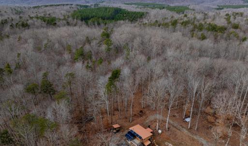 Photo #7 of 7676 OLD DOMINION RD, SCHUYLER, VA 40.3 acres
