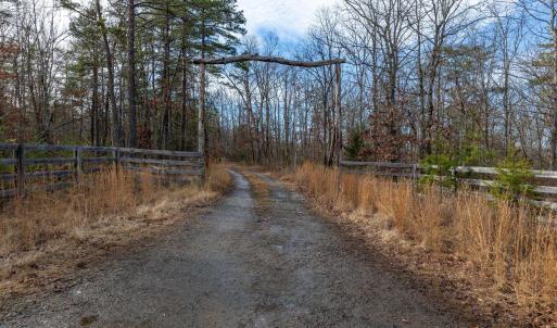 Photo #8 of 7676 OLD DOMINION RD, SCHUYLER, VA 40.3 acres