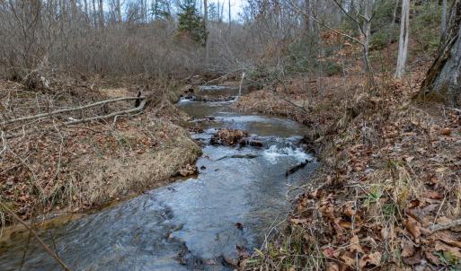 Photo #2 of 7676 OLD DOMINION RD, SCHUYLER, VA 40.3 acres