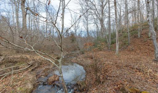 Photo #1 of 7676 OLD DOMINION RD, SCHUYLER, VA 40.3 acres