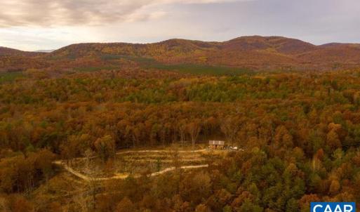 Photo #5 of 7676 OLD DOMINION RD, SCHUYLER, VA 40.3 acres