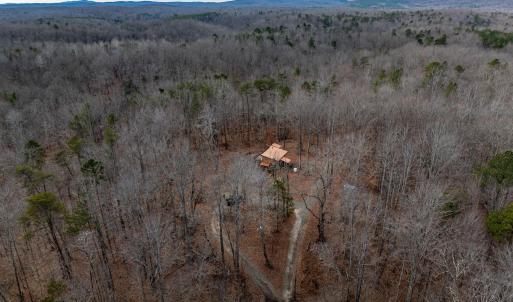 Photo #9 of 7676 OLD DOMINION RD, SCHUYLER, VA 40.3 acres