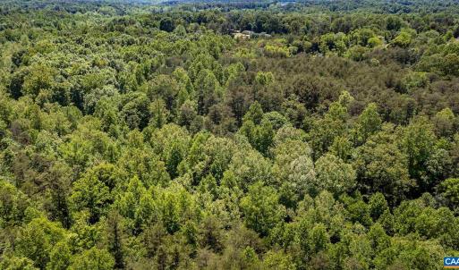 Photo #17 of 1245 CARPENTERS MILL RD, RUCKERSVILLE, VA 24.8 acres