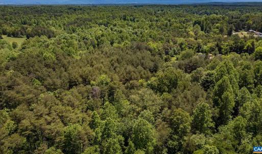 Photo #16 of 1245 CARPENTERS MILL RD, RUCKERSVILLE, VA 24.8 acres
