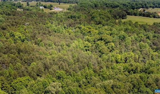 Photo #15 of 1245 CARPENTERS MILL RD, RUCKERSVILLE, VA 24.8 acres