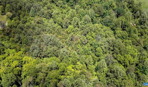 Photo #6 of 1245 CARPENTERS MILL RD, RUCKERSVILLE, VA 24.8 acres