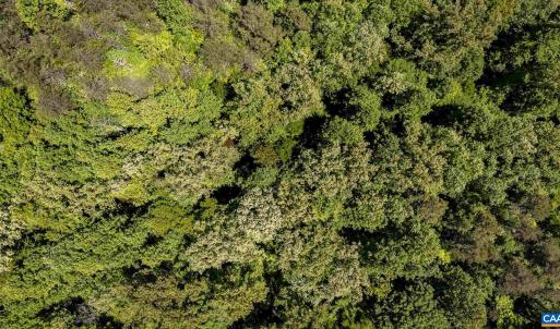 Photo #14 of 1245 CARPENTERS MILL RD, RUCKERSVILLE, VA 24.8 acres