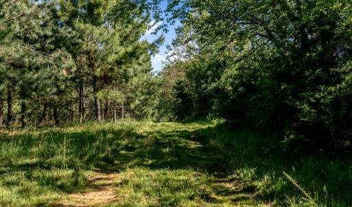 Photo #3 of TBD AUTUMN LN, ROCKINGHAM, VA 8.0 acres