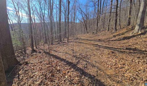 Photo #2 of 12 OLD MOUNTAIN RD, STANARDSVILLE, VA 5.6 acres