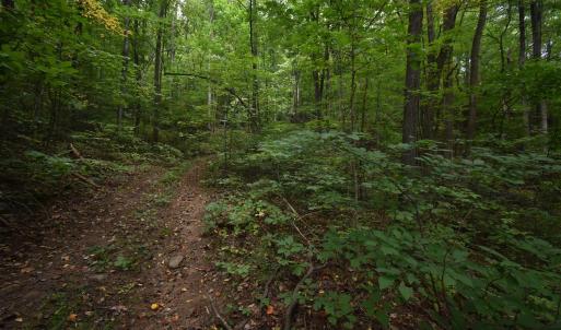 Photo #10 of 12 OLD MOUNTAIN RD, STANARDSVILLE, VA 5.6 acres