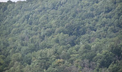 Photo #28 of 12 OLD MOUNTAIN RD, STANARDSVILLE, VA 5.6 acres