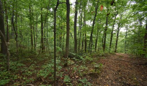Photo #9 of 12 OLD MOUNTAIN RD, STANARDSVILLE, VA 5.6 acres