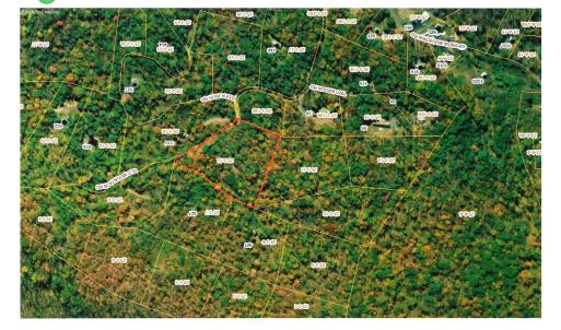 Photo #3 of 12 OLD MOUNTAIN RD, STANARDSVILLE, VA 5.6 acres