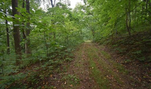 Photo #16 of 12 OLD MOUNTAIN RD, STANARDSVILLE, VA 5.6 acres