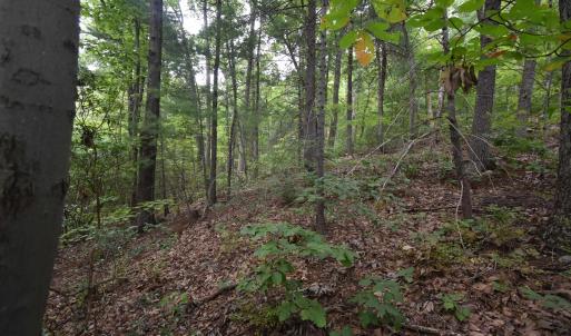 Photo #25 of 12 OLD MOUNTAIN RD, STANARDSVILLE, VA 5.6 acres