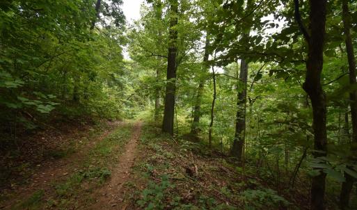 Photo #4 of 12 OLD MOUNTAIN RD, STANARDSVILLE, VA 5.6 acres