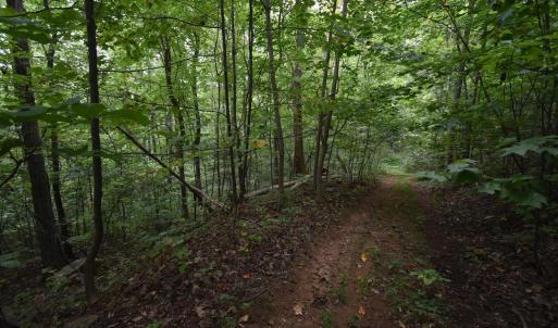 Photo #5 of 12 OLD MOUNTAIN RD, STANARDSVILLE, VA 5.6 acres