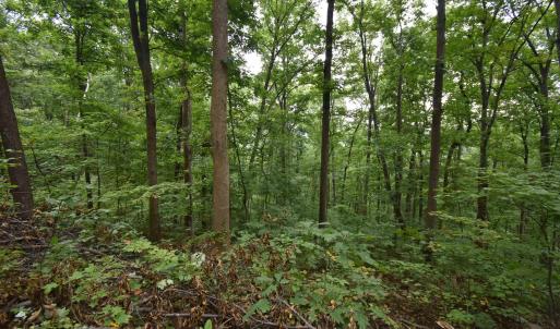 Photo #11 of 12 OLD MOUNTAIN RD, STANARDSVILLE, VA 5.6 acres