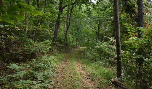 Photo #12 of 12 OLD MOUNTAIN RD, STANARDSVILLE, VA 5.6 acres