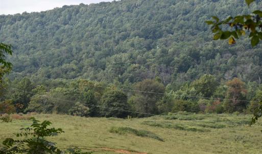 Photo #20 of 12 OLD MOUNTAIN RD, STANARDSVILLE, VA 5.6 acres