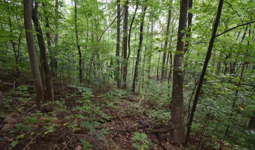 Photo #6 of 12 OLD MOUNTAIN RD, STANARDSVILLE, VA 5.6 acres