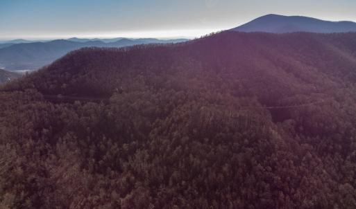 Photo #1 of 728 LOVE RD, LYNDHURST, VA 29.3 acres