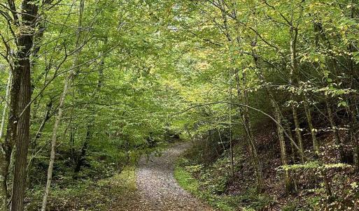 Photo #4 of 728 LOVE RD, LYNDHURST, VA 29.3 acres