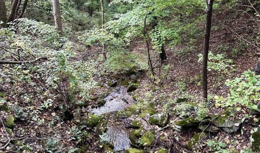 Photo #10 of 728 LOVE RD, LYNDHURST, VA 29.3 acres