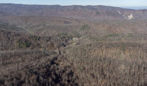 Photo #11 of 728 LOVE RD, LYNDHURST, VA 29.3 acres