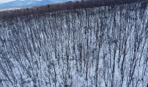 Photo #4 of TBD CUBBAGE HOLLOW RD, STANLEY, VA 40.6 acres