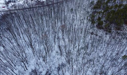 Photo #6 of TBD CUBBAGE HOLLOW RD, STANLEY, VA 40.6 acres