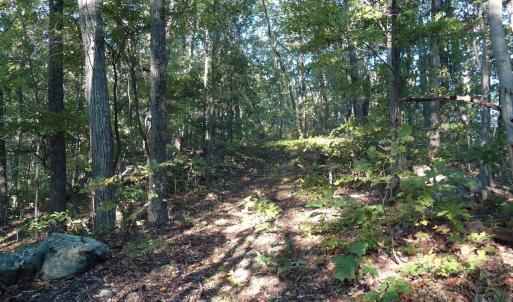 Photo #15 of FARMVIEW RD, STANARDSVILLE, VA 2.2 acres