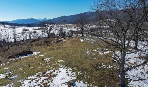 Photo #13 of ORCHARD DR, TIMBERVILLE, VA 60.0 acres