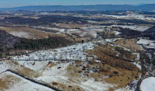 Photo #1 of ORCHARD DR, TIMBERVILLE, VA 60.0 acres