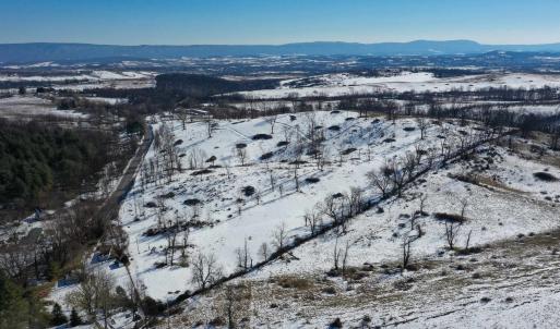 Photo #20 of ORCHARD DR, TIMBERVILLE, VA 60.0 acres