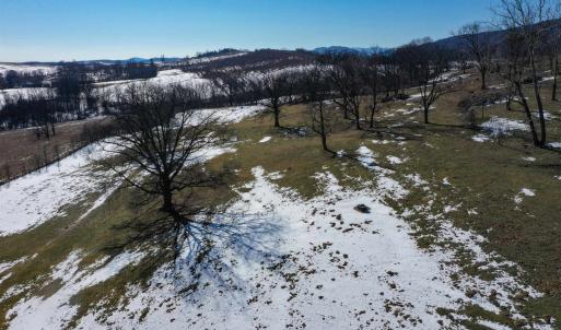 Photo #6 of ORCHARD DR, TIMBERVILLE, VA 60.0 acres
