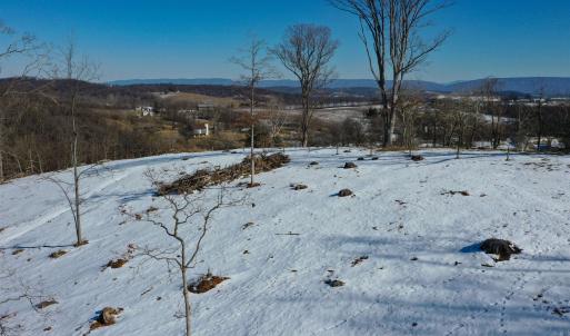 Photo #12 of ORCHARD DR, TIMBERVILLE, VA 60.0 acres