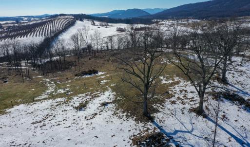Photo #10 of ORCHARD DR, TIMBERVILLE, VA 60.0 acres