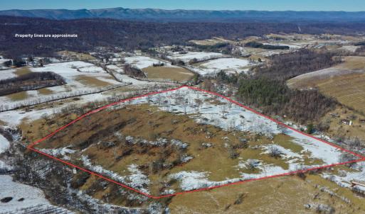 Photo #14 of ORCHARD DR, TIMBERVILLE, VA 60.0 acres