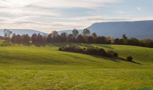 Photo #18 of NONE, LURAY, VA 348.0 acres