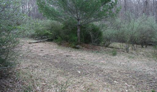 Photo #11 of TBD HIGHLAND TPKE, MONTEREY, VA 5.7 acres