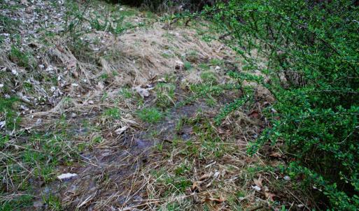 Photo #9 of TBD HIGHLAND TPKE, MONTEREY, VA 5.7 acres
