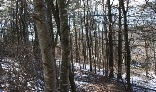 Photo #8 of TBD HIGHLAND TPKE, MONTEREY, VA 5.7 acres