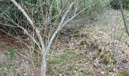 Photo #7 of TBD HIGHLAND TPKE, MONTEREY, VA 5.7 acres