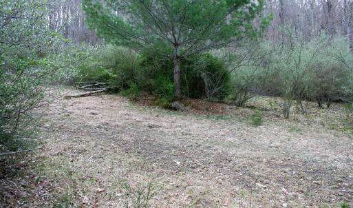 Photo #4 of TBD HIGHLAND TPKE, MONTEREY, VA 5.7 acres