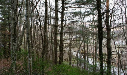 Photo #3 of TBD HIGHLAND TPKE, MONTEREY, VA 5.7 acres