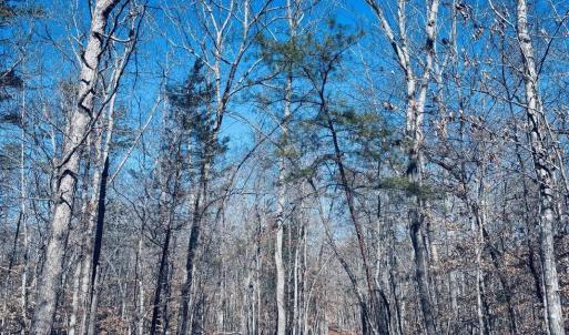 Photo #6 of TBD RUNNING DEER DR, KESWICK, VA 37.3 acres