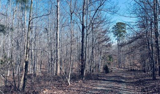 Photo #5 of TBD RUNNING DEER DR, KESWICK, VA 37.3 acres