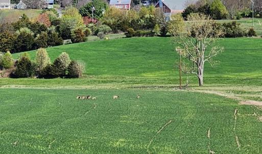 Photo #3 of 104 CARRSBROOK DR, STAUNTON, VA 0.3 acres