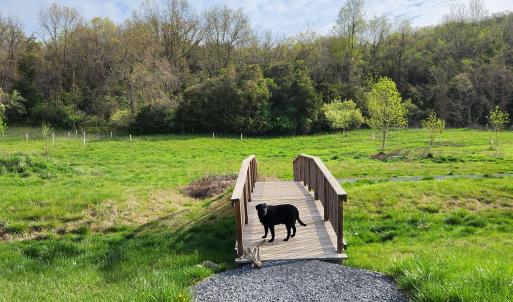 Photo #8 of 104 CARRSBROOK DR, STAUNTON, VA 0.3 acres